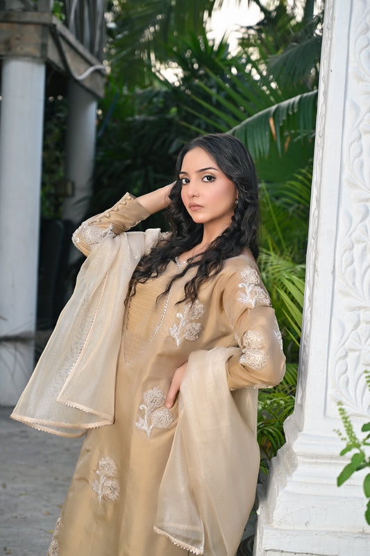 Skin Raw Silk Embroidered - Perfect Stitches By Maryam