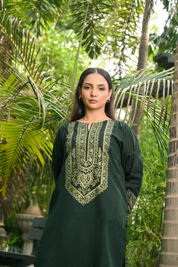 Green Embroidered (2pc) - Image 4